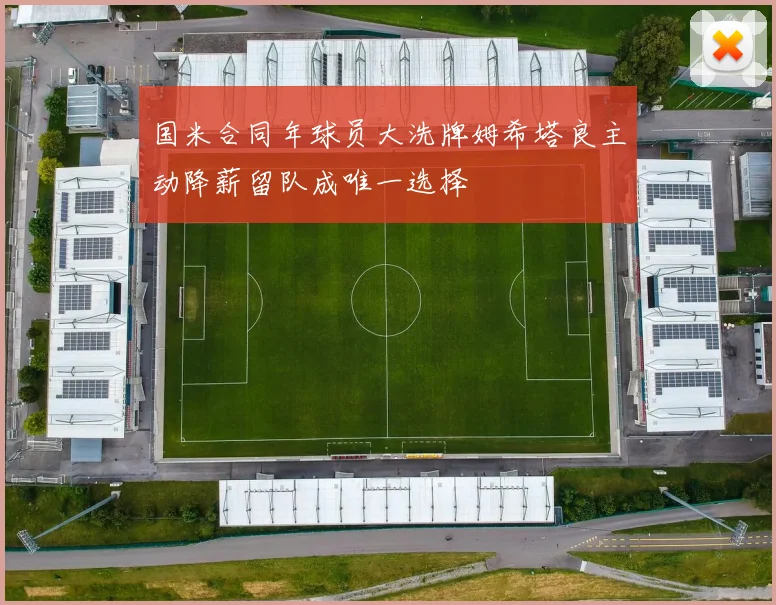 国米合同年球员大洗牌姆希塔良主动降薪留队成唯一选择